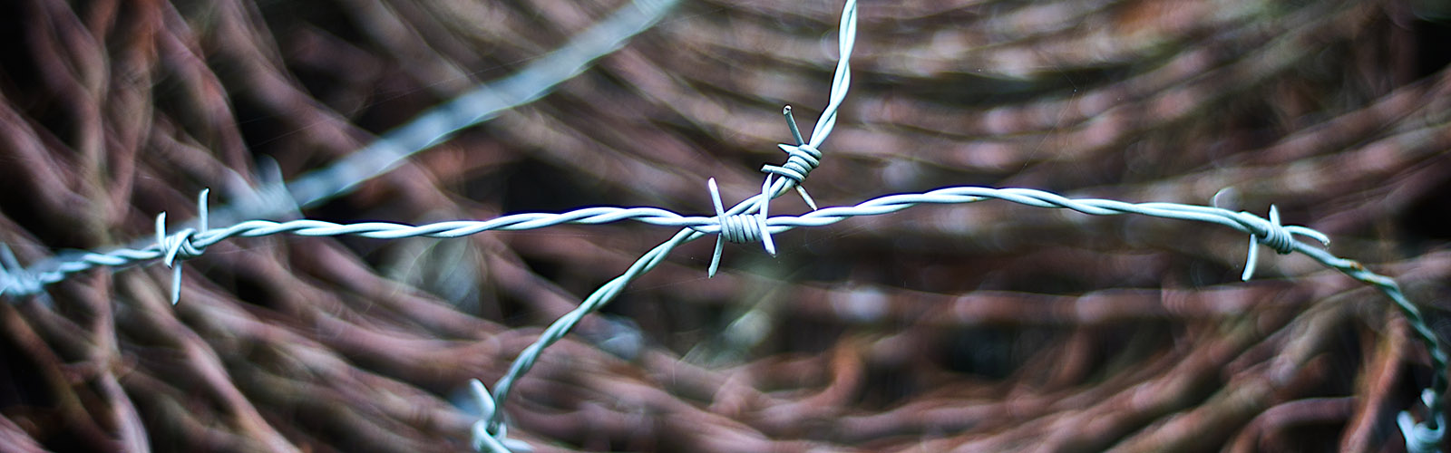 Security and Privacy