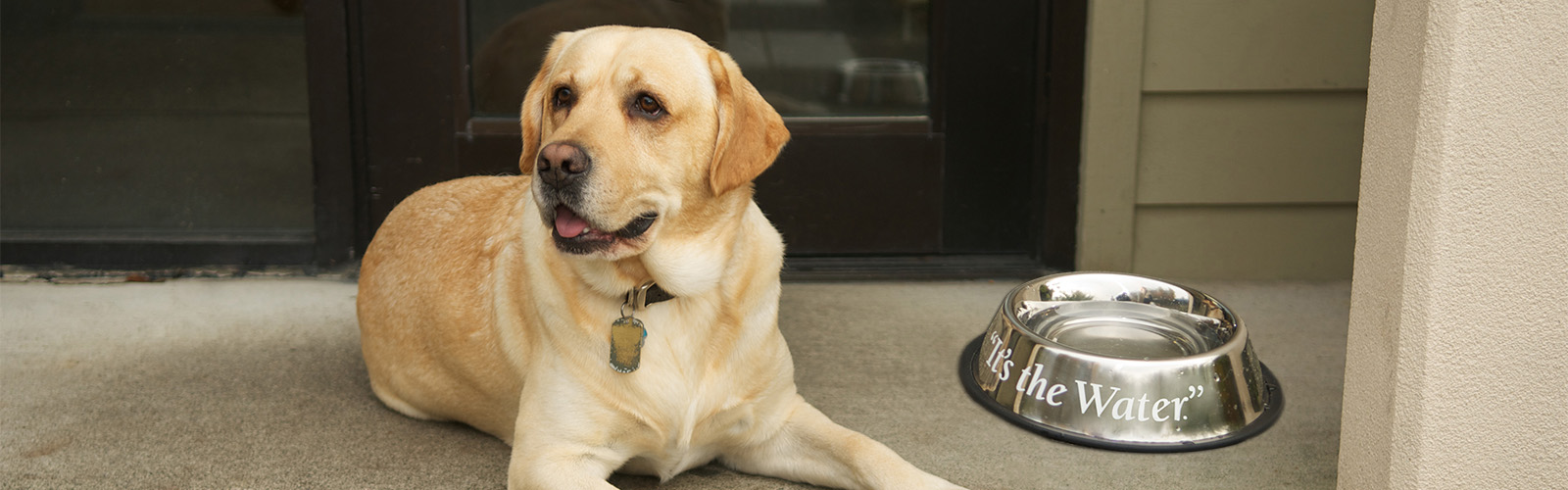 Discounts for Members