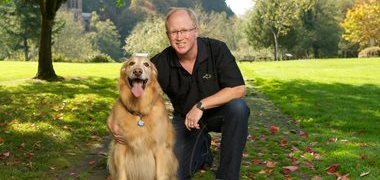 Individual Retirement Accounts (IRAs)