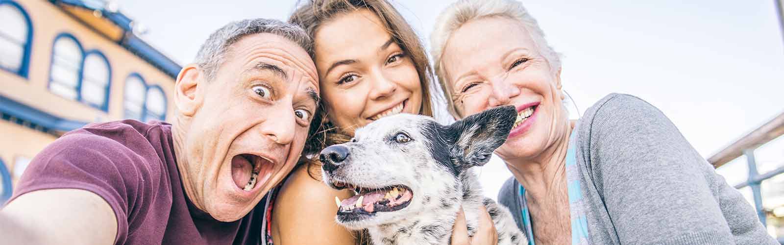 Sign up for O Bee Newsletter